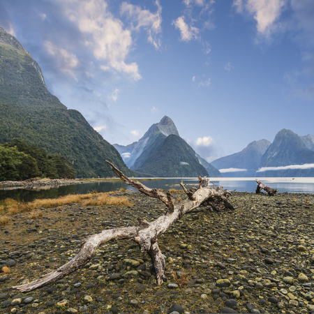 Mitre Peak and Milford Sound New Zealandの写真素材