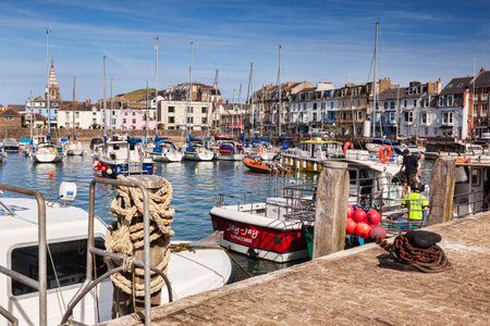 Ilfracombe Harbour Devon UKのeditorial素材