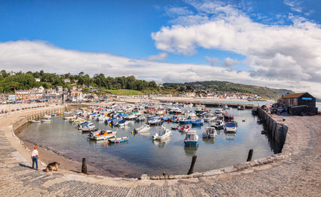 The Cobb Harbour Lyme Regis Dorset UKのeditorial素材