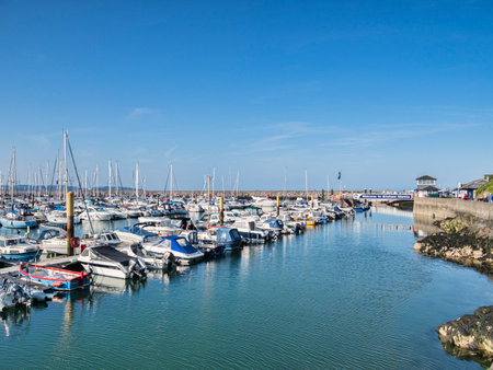 Brixham Marina Devon UKのeditorial素材