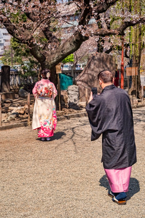 Photographing in Cherry Blossom Seasonのeditorial素材