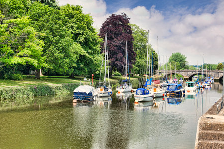 River Dart at Totnes Devon UKのeditorial素材