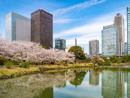 Kyu-Shiba-rikyu Gardens, Tokyoのeditorial素材
