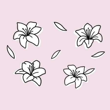 Lilies set, outline vector illustrationのイラスト素材