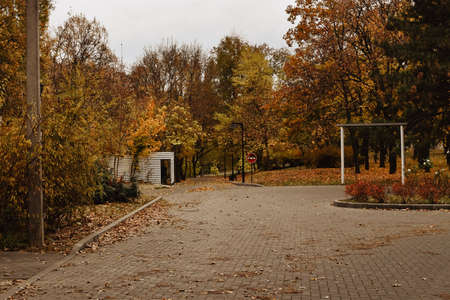 Autumn park with fallen leaves on the ground and a pedestrian crossingの写真素材