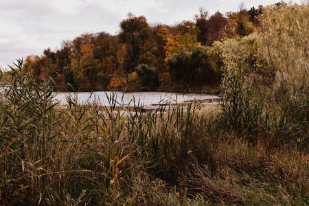 Autumn landscape with a lake in the middle of the forest.の写真素材