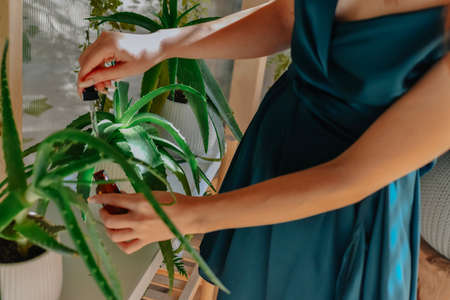 A woman in a blue dress holds a houseplant in her hands.の写真素材
