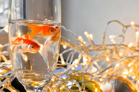 Goldfish in a glass of water with garland on the backgroundの写真素材
