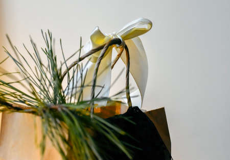 Christmas and New Year gift box with a bow and pine branch.の写真素材