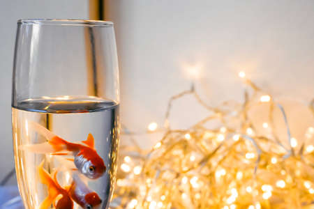 A glass of water with goldfish on the background of garlands.の写真素材