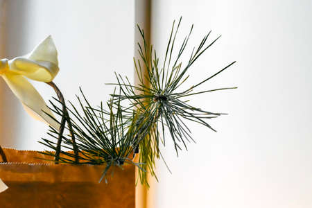 Christmas gift bag with pine branches and a bow on a white backgroundの写真素材