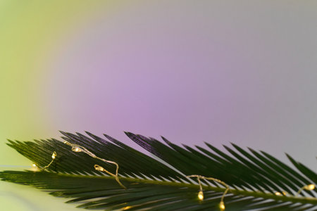 green palm leaf with golden garland lights on bokeh backgroundの写真素材