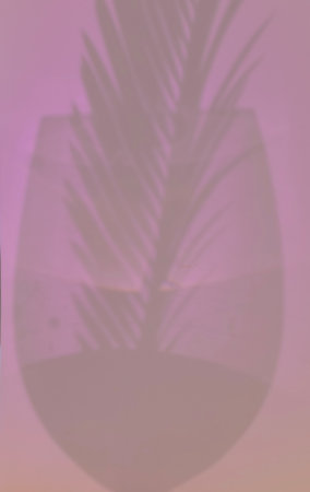 Shadow of a palm leaf on a pink background. Copy space.