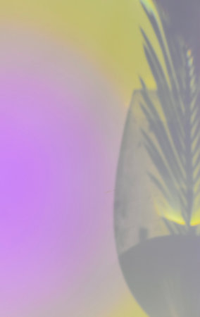 abstract background of palm leaves in a vase with a gradient