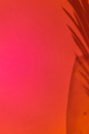 Abstract background with shadow of palm leaves in a vase on a red background