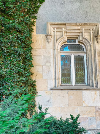 Window on the facade of an old stone building with a tree in the foreground