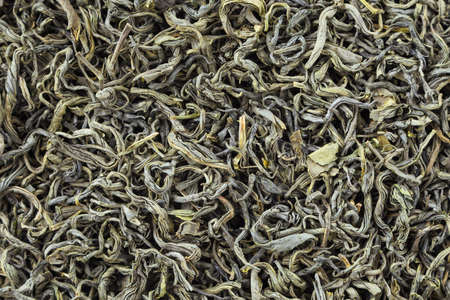 Tea herbs texture. Green tea. Organic dried green tea leaves.の写真素材