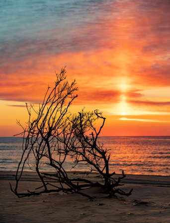 A Beautiful Sunrise at the Beachの写真素材