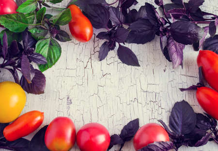 Old white background with tomatoes and basil arranged in a circlの写真素材