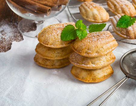 Pinnacle of the Madeleine cookies, powdered sugar and cinnamonの写真素材