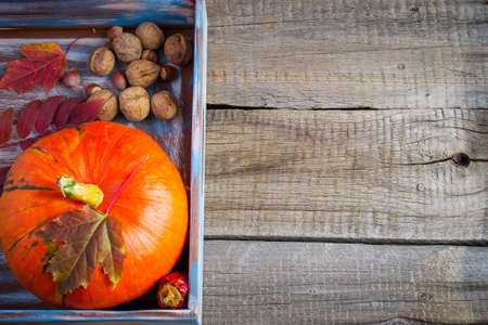Pumpkin, nuts and autumn leaves on the old boards. with space for textの写真素材