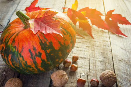 Pumpkin, purple leaves and nuts on an old wooden background, tintedの写真素材