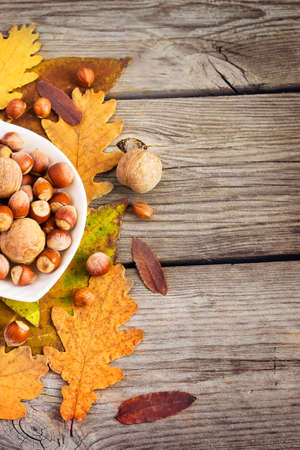 Hazelnuts and walnuts in a bowl on a background of autumn leavesの写真素材
