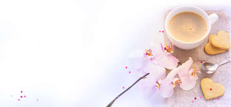 Background of Valentine\'s Day with pink orchid. Tinted.の写真素材