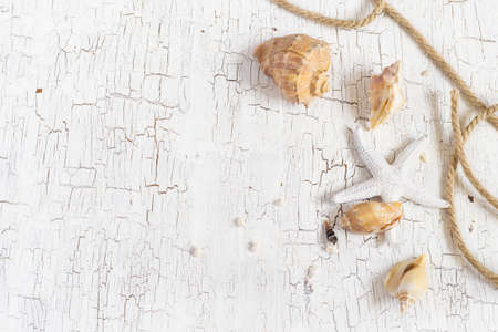Starfish, seashells and rope on a white background, space for textの写真素材