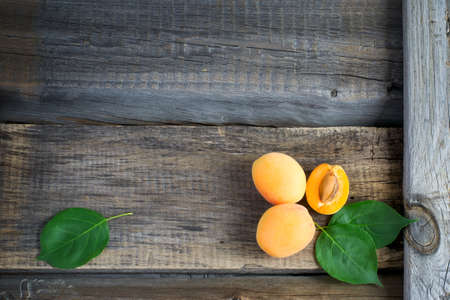 Rural garden summer background with ripe apricots.の写真素材