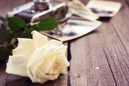 beautiful rose, old photos and camera. Vintage toning, copy spaceの写真素材