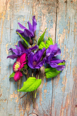 Bouquet of blue clematis in ice cream waffle cone closeup. Top vの写真素材