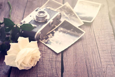 White rose old photos and camera. Tinted, copy space.の写真素材