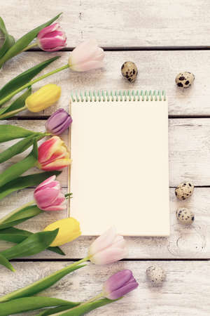 Notepad, beautiful tulips and quail eggs, Easter concept tintedの写真素材