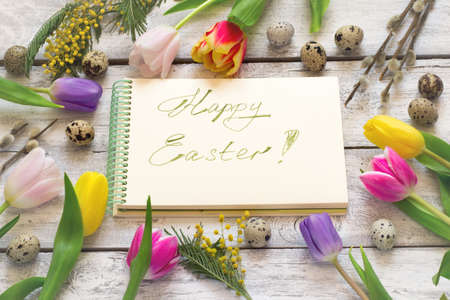 Easter greeting card with tulips, eggs, willow and mimosa.の写真素材