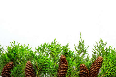 White Christmas background with natural decor. Border of coniferous branches and conesの写真素材