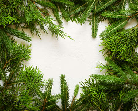 Christmas background. Frame made of natural coniferous branchesの写真素材