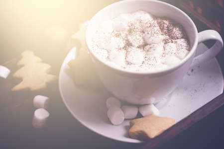 cup of hot cocoa with marshmallow and gingerbread cookies. Christmas food background. Selective focus, tonedの写真素材