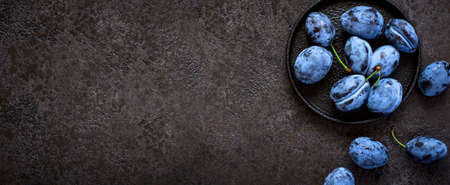 Dark blue plums in cast iron plate on black background, banner long format.の写真素材