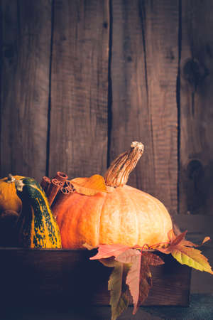 Pumpkin and cinnamon closeup. Autumn background. Thanksgiving or Halloween concept, copy space.の写真素材