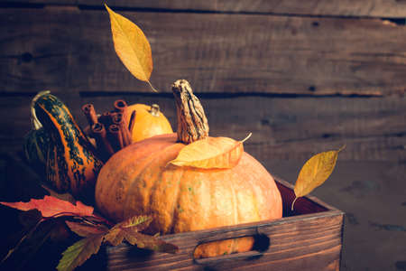 Pumpkin and falling leaves. Autumn, Thanksgiving or Halloween concept, copy space.の写真素材