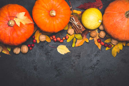 Autumn harvest pumpkin thanksgiving composition on a black background.