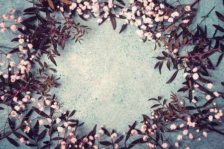 Floral frame composition with many flowers of gypsophila and leaves on blue background, toned
