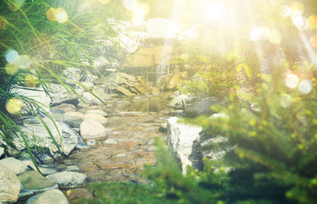artificial creek with rocks in the summer noon. Rays of sun and bokeh.の写真素材