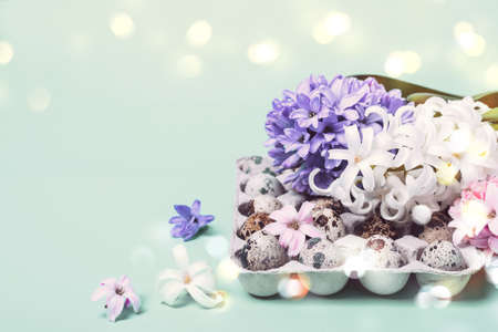 Spring festive Easter card. Hyacinth flowers and quail eggs.の写真素材