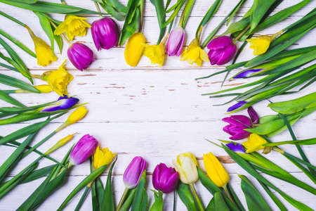 Spring white floral background. Round frame with colorful tulips, daffodils and irises lowers.の写真素材