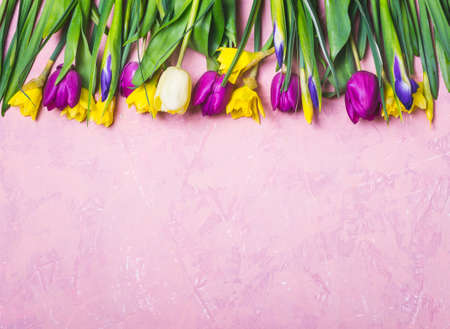 Border of spring multicolored flowers on a pink background.の写真素材