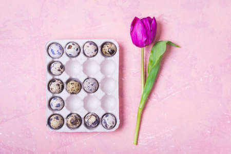 Easter concept. The letter E made of eggs. Tulip.の写真素材