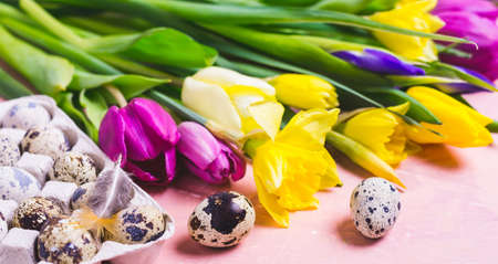 Multicolored tulips and daffodils flowers. Happy Easter banner.の写真素材