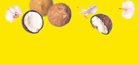 Yellow tropical summer background with falling coconuts and orchids flowers